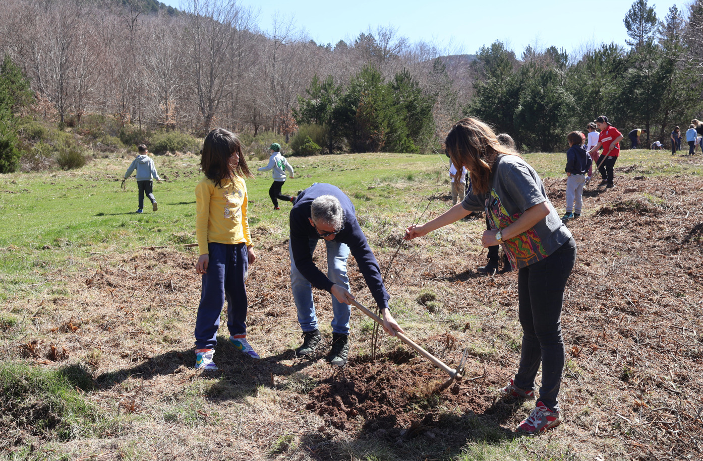Más de 70 escolares de las Trece Villas celebran su tradicional “Día del Árbol” con una plantación en el entorno del monte de La Pineda