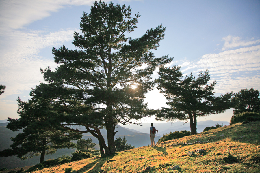 “Pasea La Rioja” invita a descubrir con una mirada única la naturaleza de los Espacios Naturales de nuestra región con dos actividades este fin de semana