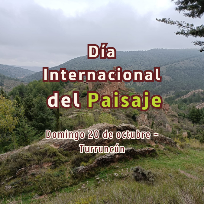 La Dirección General de Medio Natural y Paisaje celebrará este domingo el Día Internacional del Paisaje con una jornada artística y cultural en Turruncún