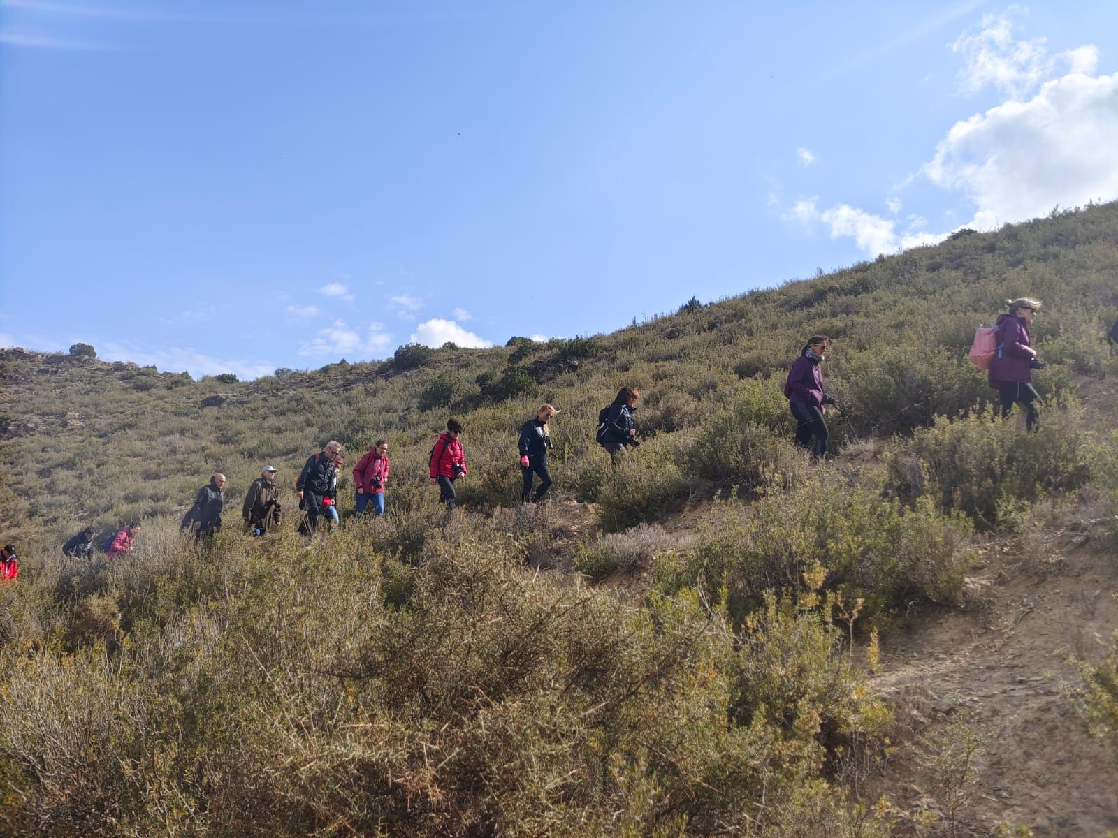 “Pasea La Rioja” ofrece este fin de semana una actividad extraordinaria en el Jardín Botánico, una Ruta del Silencio en Aguilar y un paseo guiado en Brieva