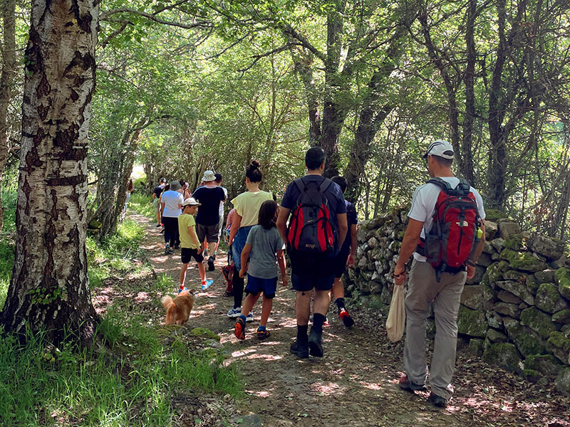Un grupo de personas, incluidos niños y un perro, camina por un sendero boscoso rodeado de árboles y un muro de piedra.