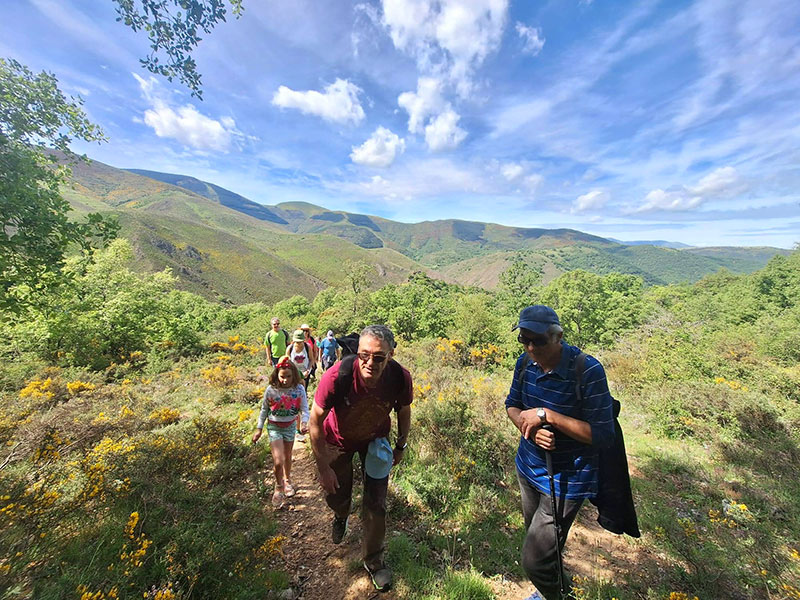 Un grupo de personas sube por un sendero rodeado de vegetación y flores amarillas, con montañas verdes al fondo bajo un cielo azul con nubes.