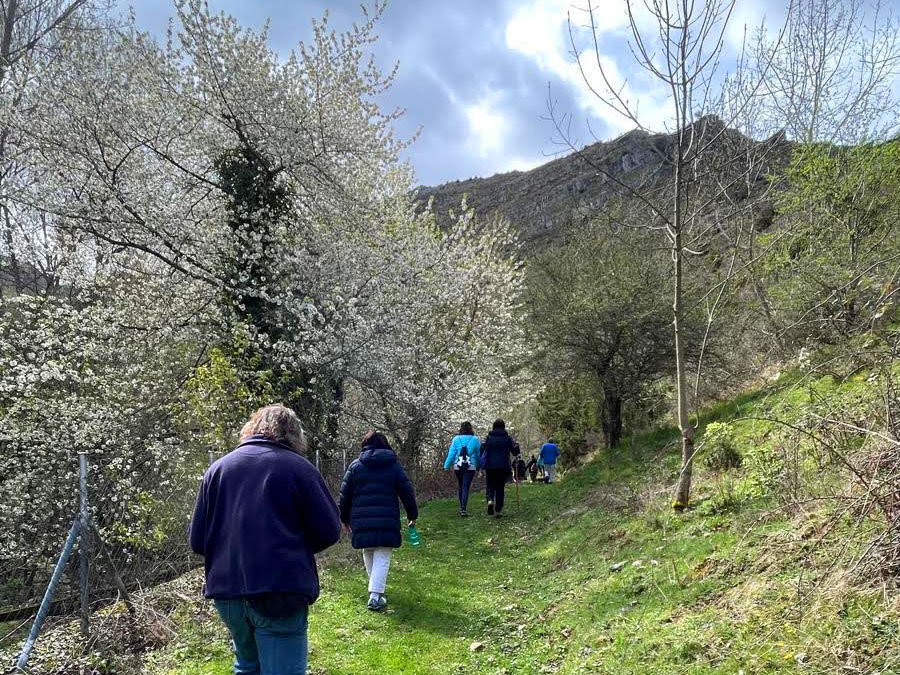 Un grupo de personas camina por un sendero rodeado de árboles en flor, bajo un cielo nublado y con una colina al fondo.