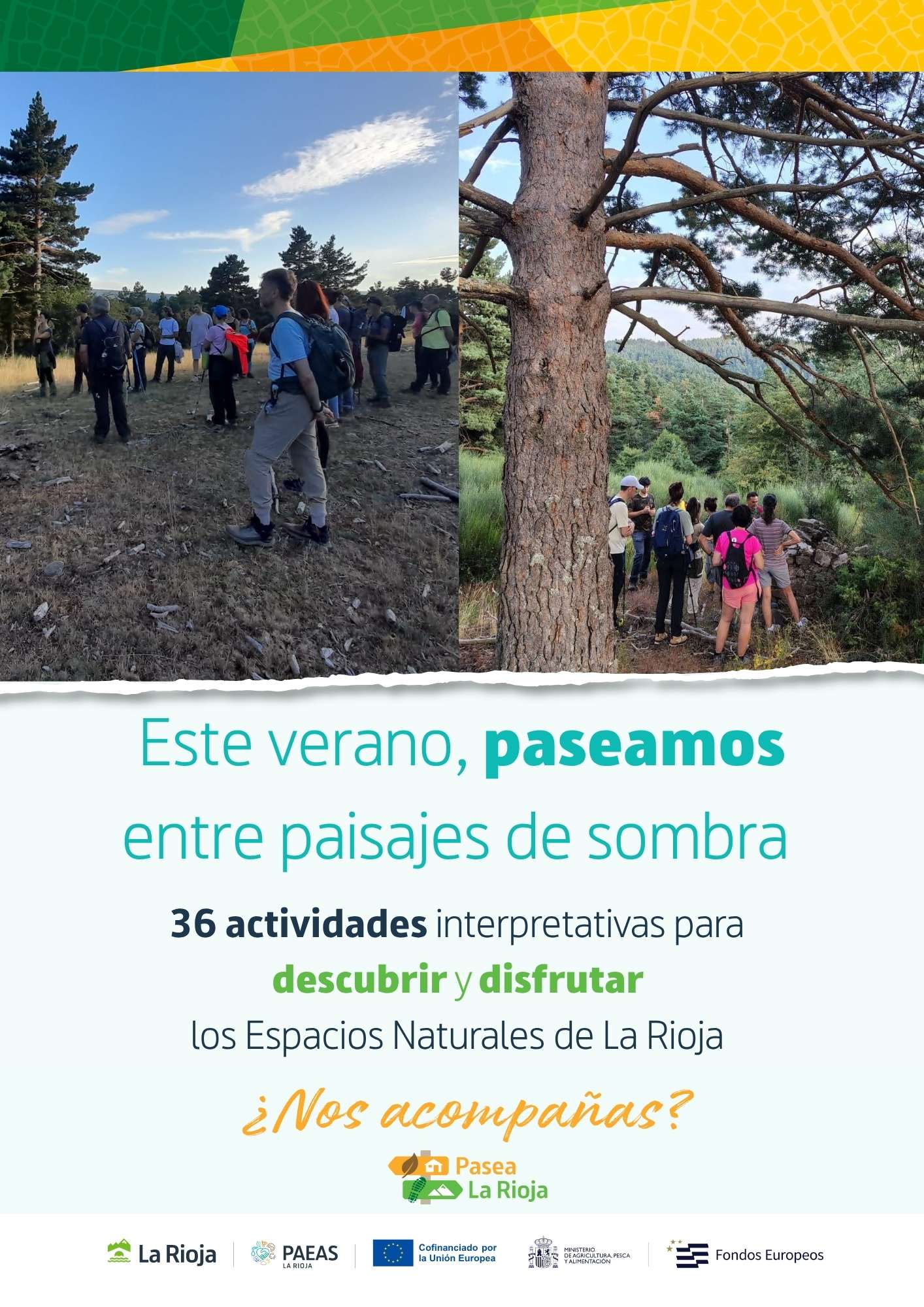 Presentamos la programación para este verano, con 36 actividades y cerca de 900 plazas para disfrutar y poner en valor los enclaves más valiosos de la naturaleza riojana