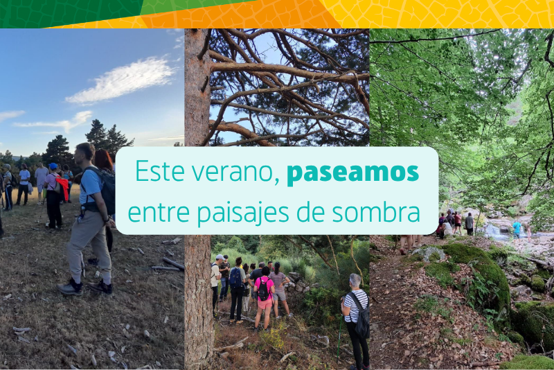 Presentamos la programación para este verano, con 36 actividades y cerca de 900 plazas para disfrutar y poner en valor los enclaves más valiosos de la naturaleza riojana