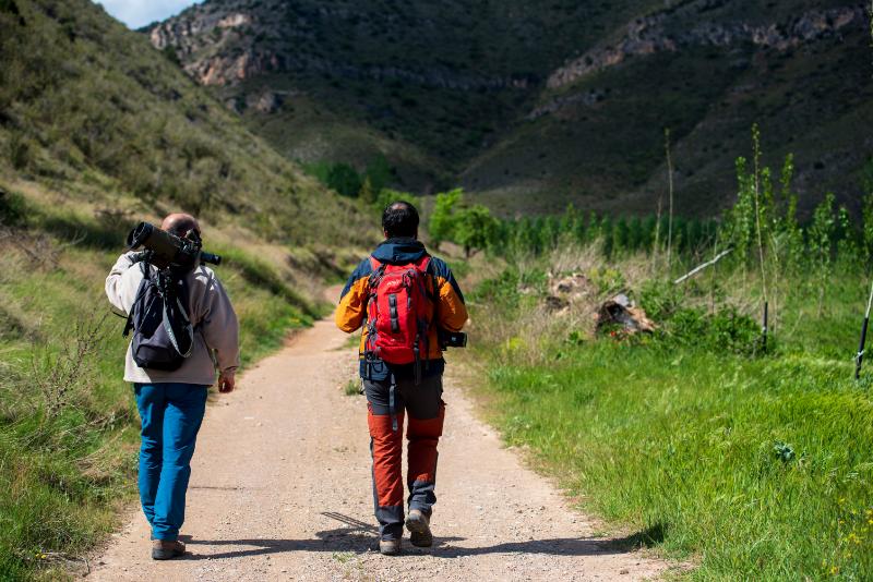 senderistas en Camino Verde 