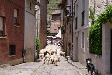 Trashumancia La Rioja