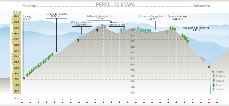 Perfil altitudinal