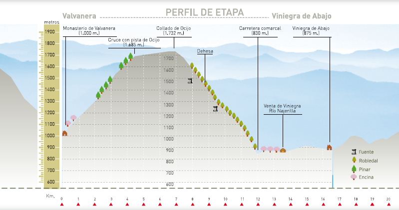 Perfil altitudinal