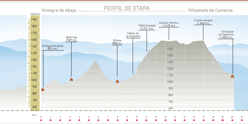 Perfil altitudinal