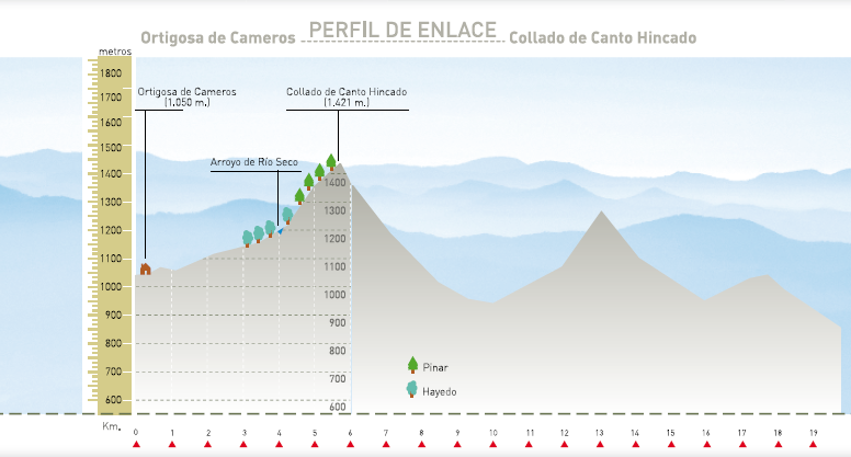 Perfil altitudinal