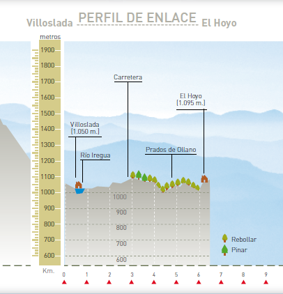 Perfil altitudinal