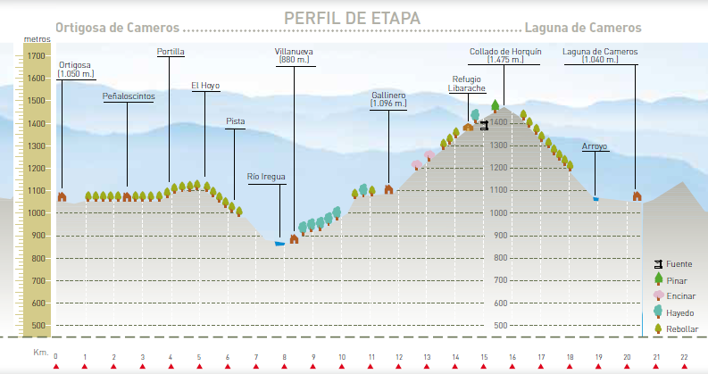 Perfil altitudinal