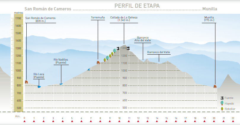 Perfil altitudinal