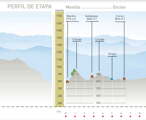 Perfil altitudinal