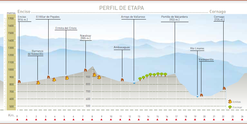 Perfil altitudinal