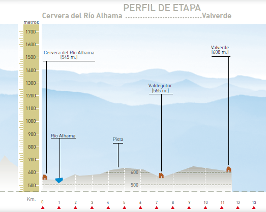 Perfil altitudinal