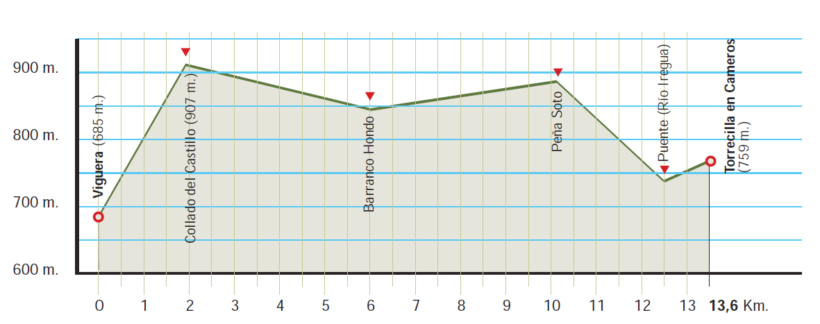 Perfil altitudinal