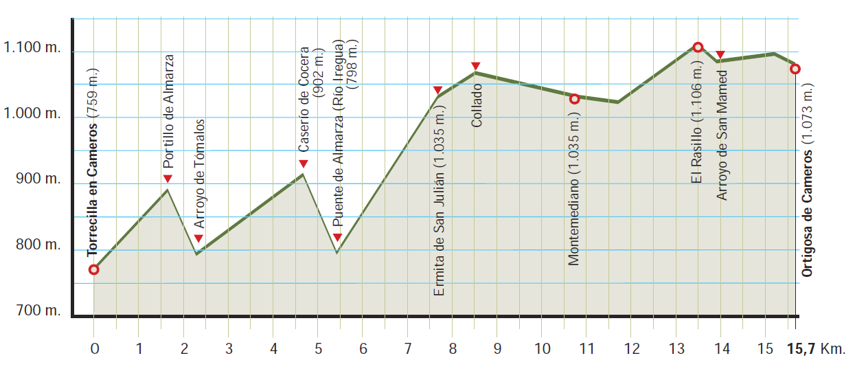 Perfil altitudinal