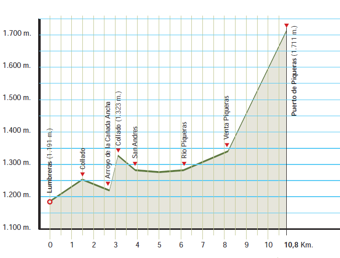 Perfil altitudinal