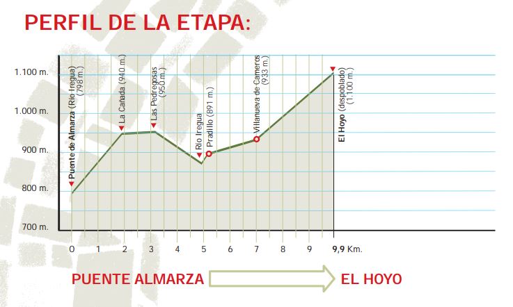 Perfil altitudinal